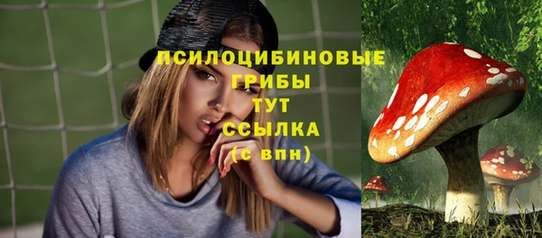 a pvp Алзамай