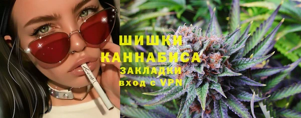 бошки Алексин
