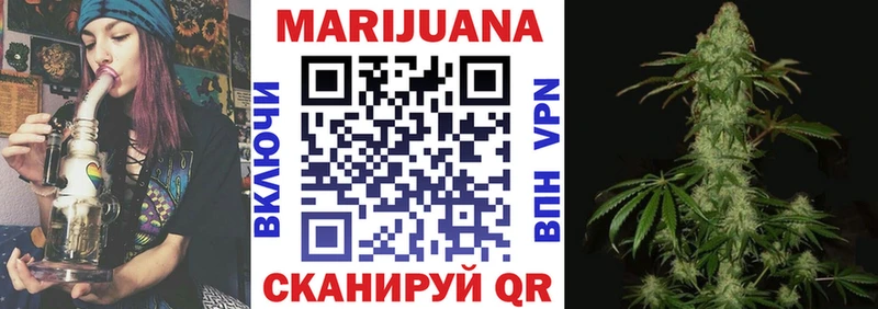 Конопля гибрид  где купить наркотик  Чистополь 